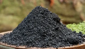 Shilajit Benefits for Female Health