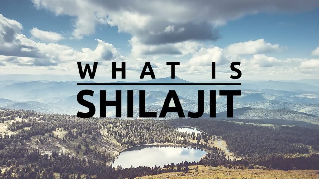 Shilajit Benefits for Female Health
